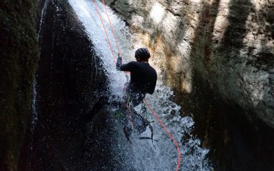 Canyon Pussy